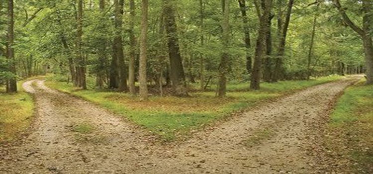 Yol Ayrımı
