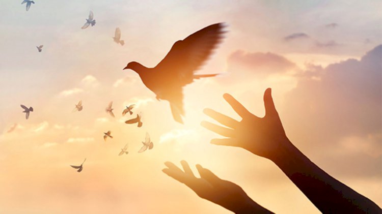 Chapter - 4 THE DIVINE LANGUAGE OF THE UNIVERSE “The Awakening”