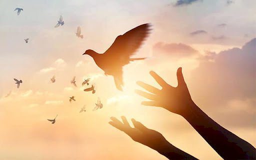 الجزء الرابع من كتاب: لغة الكون الإلهية. العفو وبداية جديدة