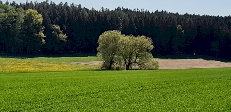 Duygusal Zeka