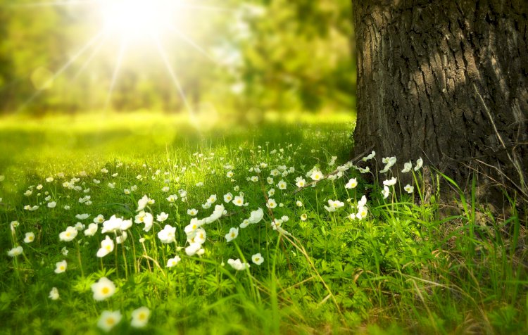 Die Sprache des Universums 25