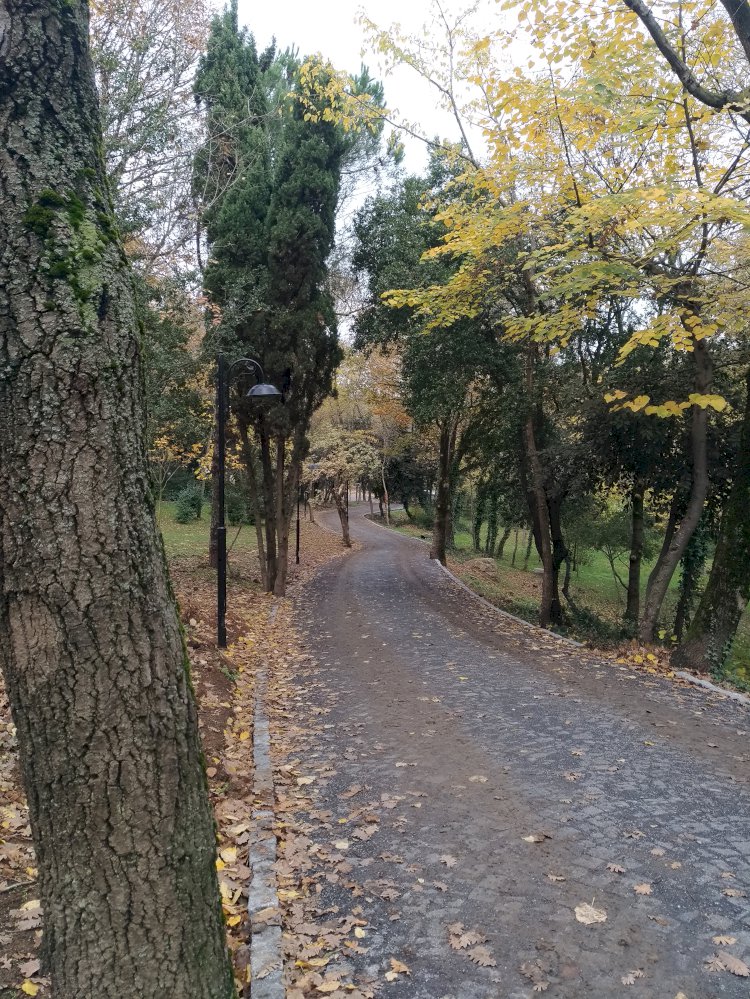Doğru Yön