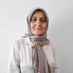 Şemsi Aydın