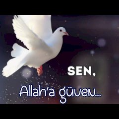 Pınar Ağtaş